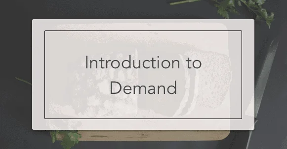 Introduction to Demand