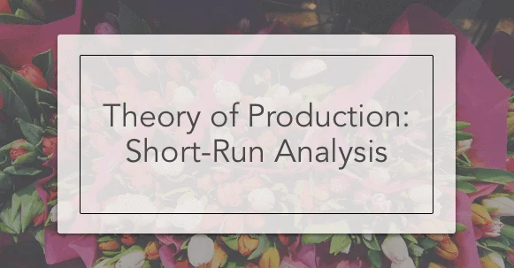 Theory of Production