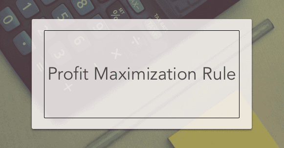 Profit Maximization Rule