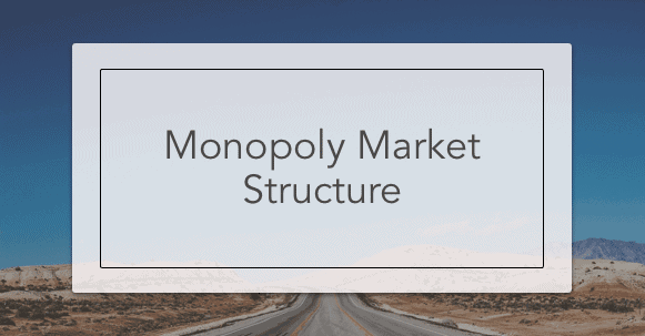 Monopoly Market Structure