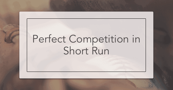 Perfect Competition Short Run Equilibrium