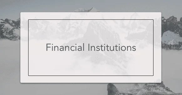 financial institutions