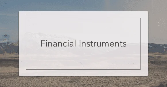 Financial Instruments