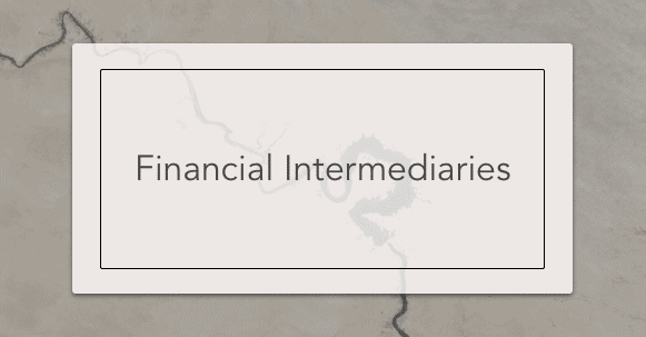 financial intermediaries