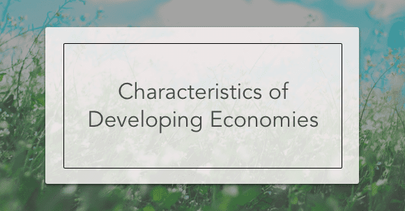 characteristics of developing economies