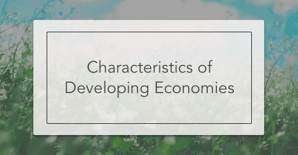characteristics of developing economies