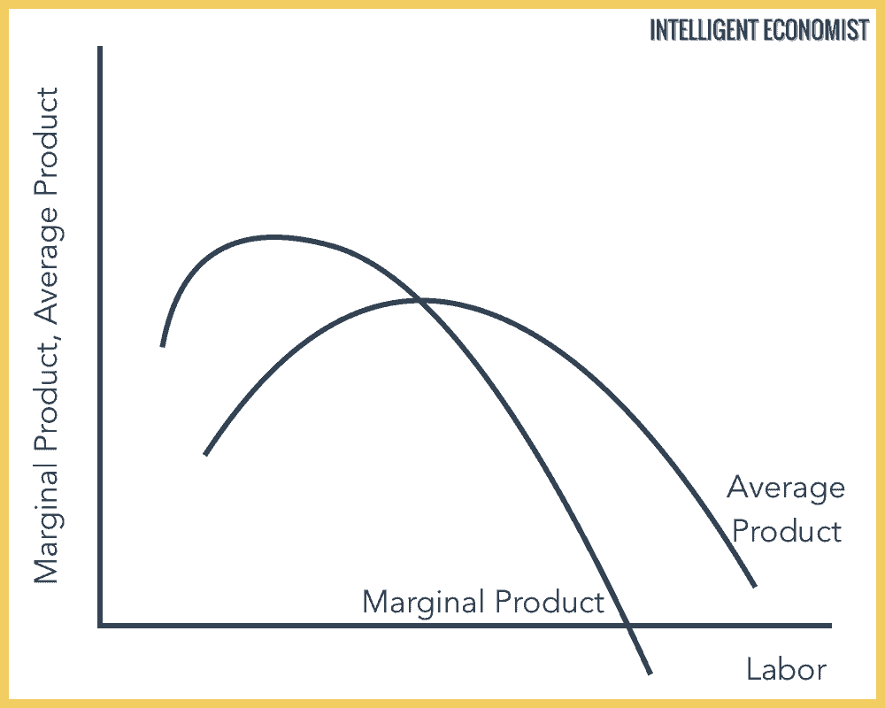 Average Product, Marginal Product