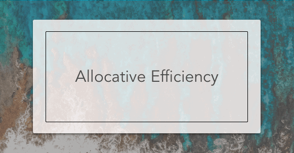 Allocative Efficiency