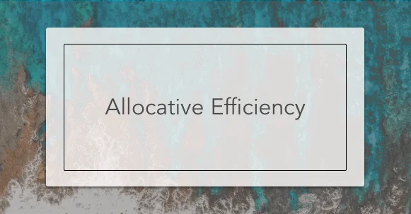 Allocative Efficiency