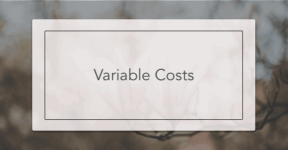 variable costs