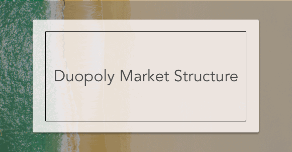 Duopoly Market Structure