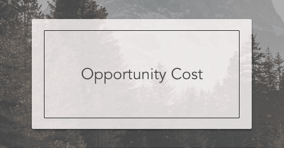 Opportunity Cost