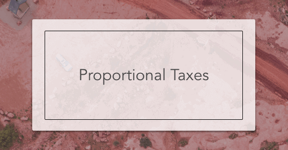 Proportional Tax Intelligent Economist