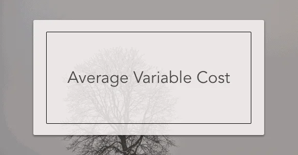 Average Variable Cost