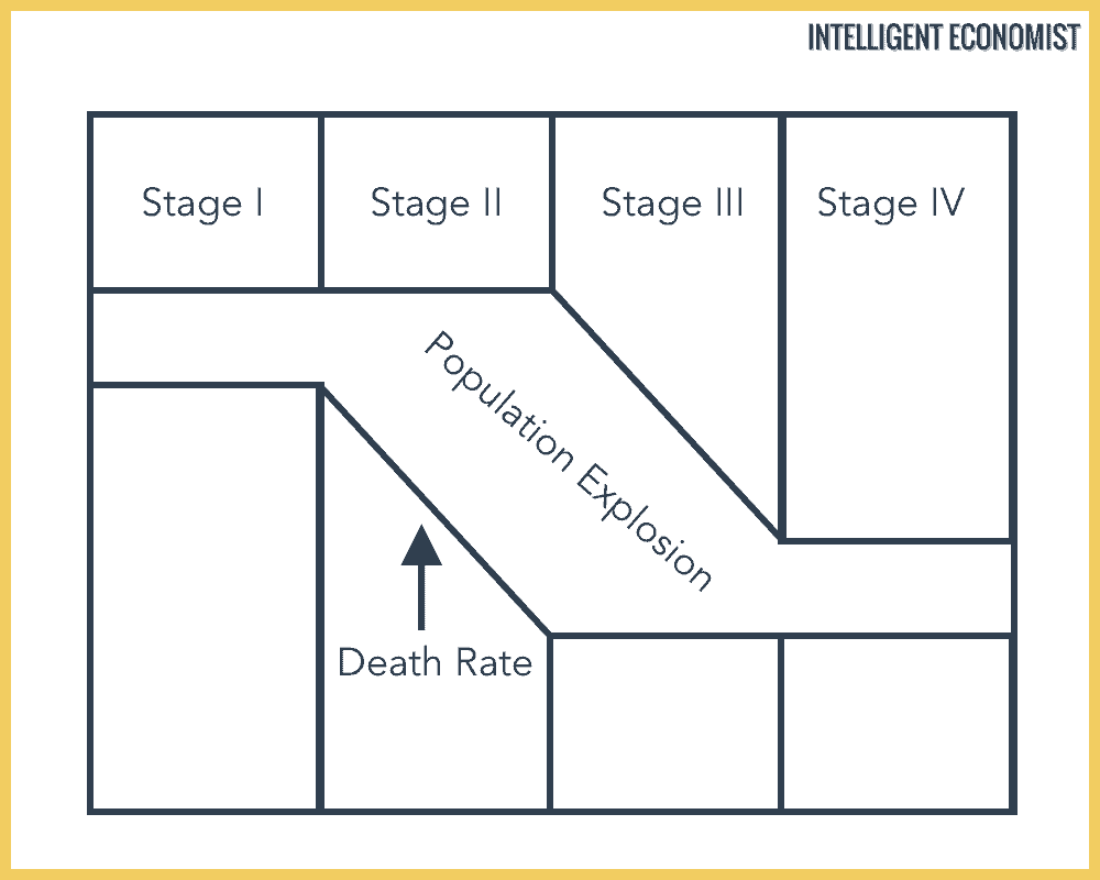 Demographic Transition Model Stages Graph