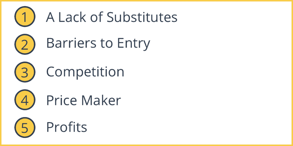 Characteristics of a Monopoly Market Structure