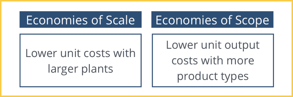 Economies of Scale vs. Economies of Scope
